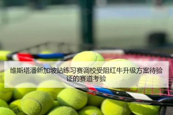 维斯塔潘新加坡站练习赛调校受阻红牛升级方案待验证的赛道考验